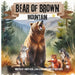 Bear of Brown Mountain by Amish Desai, Marek Desai, Sangita Shresthova
