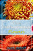 The Chrysanthemum Flowers: Growing, Caring And Harvesting At Home And Garden by Owen Mercer