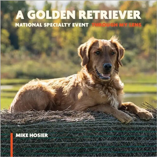 A Golden Retriever National Specialty Event - Through My Lens: Over 200 Golden Retriever Photographs, Show Dogs, Hunt Test Dogs, Obedience and Conform by Hosier, Mike