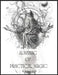 Almanac of Practical Magic: An Exploration of Ancient Magic and Mystical Knowledge by Suren Stepanyan