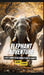 Elephant Adventure: A Kid's Guide to the World's Gentle Giants by Brian Thomas