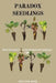 Paradox Seedlings: When Tomorrow's Trees Cast Shadows Into Yesterday's Light by Delfina Sanz