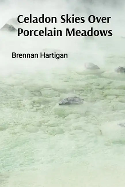 Celadon Skies Over Porcelain Meadows: A Ceramicist's Odyssey Through Form, Texture, and Translucence by Brennan Hartigan