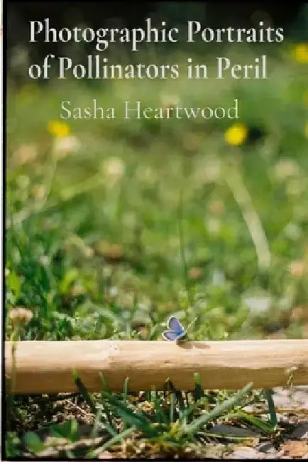 Photographic Portraits of Pollinators in Peril: Documenting Biodiversity Through Macrophotography in Wildflower Meadows by Sasha Heartwood