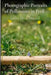 Photographic Portraits of Pollinators in Peril: Documenting Biodiversity Through Macrophotography in Wildflower Meadows by Sasha Heartwood