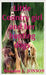 Little Country girl and her hunting dogs by Brandon, Brandon L.