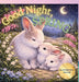 Good Night Spring: Good Night Spring by Nichole Elise Jeonotte