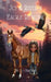 Jo & River's Eagle Rescue by Jo Smoak