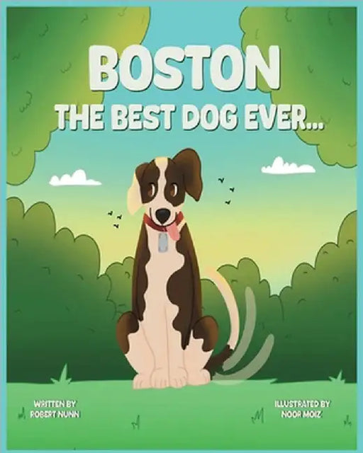 Boston by Robert Nunn