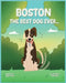 Boston by Robert Nunn