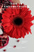 This Is Endometriosis by Yamilex Hing