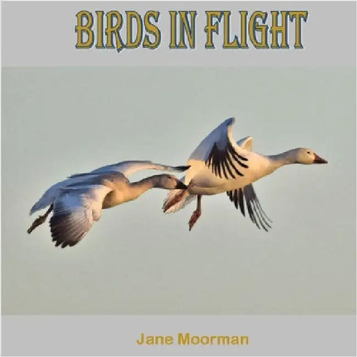 Birds in Flight by Moorman, Jane