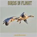 Birds in Flight by Moorman, Jane