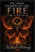 You Were Drawn to the Fire for a Reason by Matthew Petchinsky
