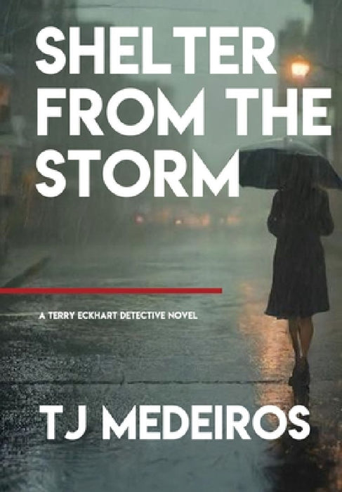 Shelter From The Storm: A Terry Eckhart Detective Novel by Tj Medeiros
