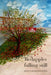 Redapples falling still by Sneha Subramanian Kanta