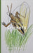 It's Time to Learn about Crickets by Walter the Educator