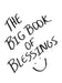 The Big Book of Blessings by Julia Rose