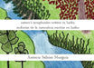 nature's symphonies written in haiku sinfonías de la naturaleza escritas en haiku by Antonia Salinas Murguía