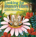 Looking for Bunnyflies by Sidney Upcavage