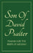 Son Of David Psalter: Psalms for the Bride of Messiah (POCKETSIZE) by Izzy Avraham