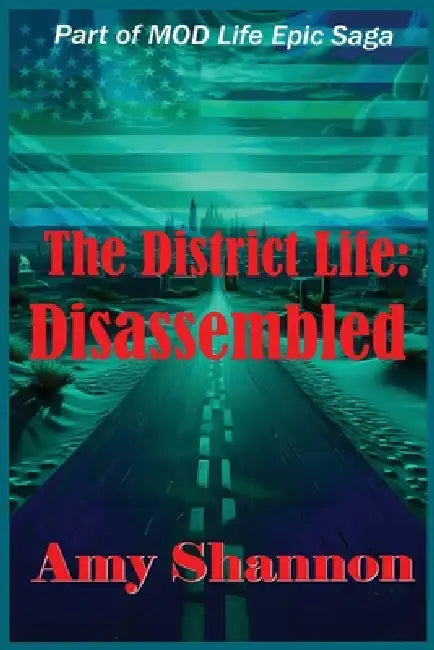The District Life: Disassembled by Amy Shannon
