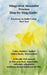 Integrative Alexander Process Step-by-Step Guide by Cathy Madden