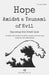 Hope Amidst a Tsunami of Evil: Exposing the Great Lies by Veronica Finch