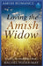 Loving The Amish Widow by Rachel Yoder-May