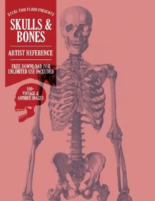 Skulls & Bones: Steal This Flash Presents - Artist Reference by Cj Hughes