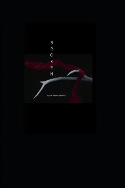 Broken: A 31 Day Journey to Jesus Christ by Anne-Marie Franco