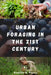 Urban Foraging in the 21st Century by Rodolfo Penny