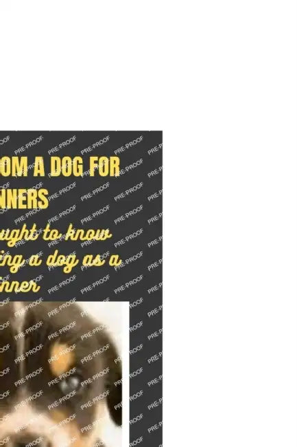 How to Groom a Dog for Beginners: What You Ought to Know about Grooming a Dog by Jones Lisa