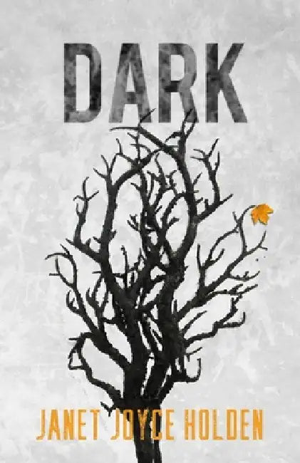 Dark: Carousel Book 3 by Janet Joyce Holden