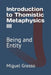 Introduction to Thomistic Metaphysics III: Being and Entity by Miguel Grosso