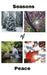 Seasons of Peace by Dean Krosecz