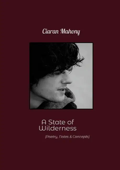 A State of Wilderness: Poems, Notes & Concepts by Ciaran Mahony