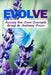 Evolve: Accessing Your Divine Sovereignty through the Awakening Process by Alana Kitari