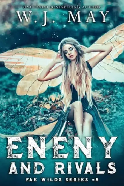 Enemy and Rivals by W. J. May