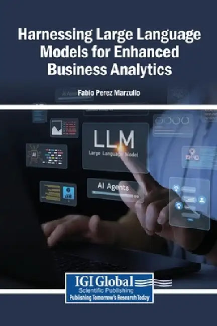 Harnessing Large Language Models for Enhanced Business Analytics by Fabio Perez Marzullo
