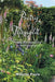 Poetry Of Thought: Helpful Information and Healthy Living by Willette Poole