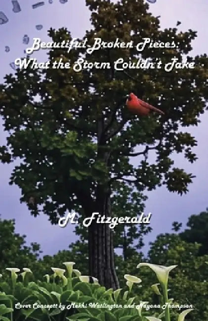 Beautiful Broken Pieces: What the Storm Couldn't Take by M. Fitzgerald