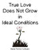 True Love Does Not Grow in Ideal Conditions by Marian Prentice Huntington