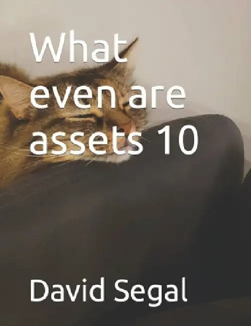 What even are assets 10 by David Segal