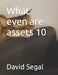 What even are assets 10 by David Segal