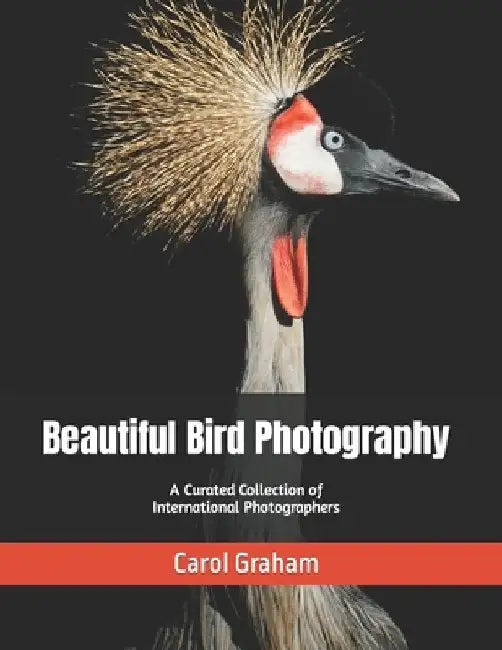 Beautiful Bird Photography: A Curated Collection of International Photographers by Carol Graham