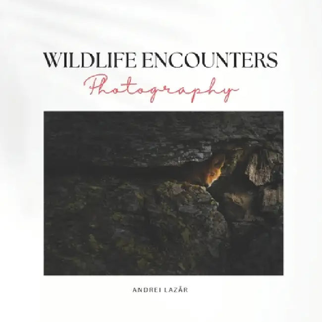 Wildlife Encounters Photography