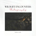 Wildlife Encounters Photography