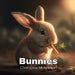 Bunnies by Christopher Michaelson