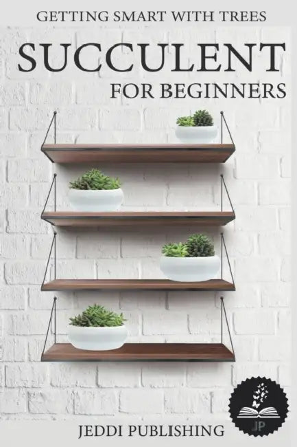 Succulent For Beginners